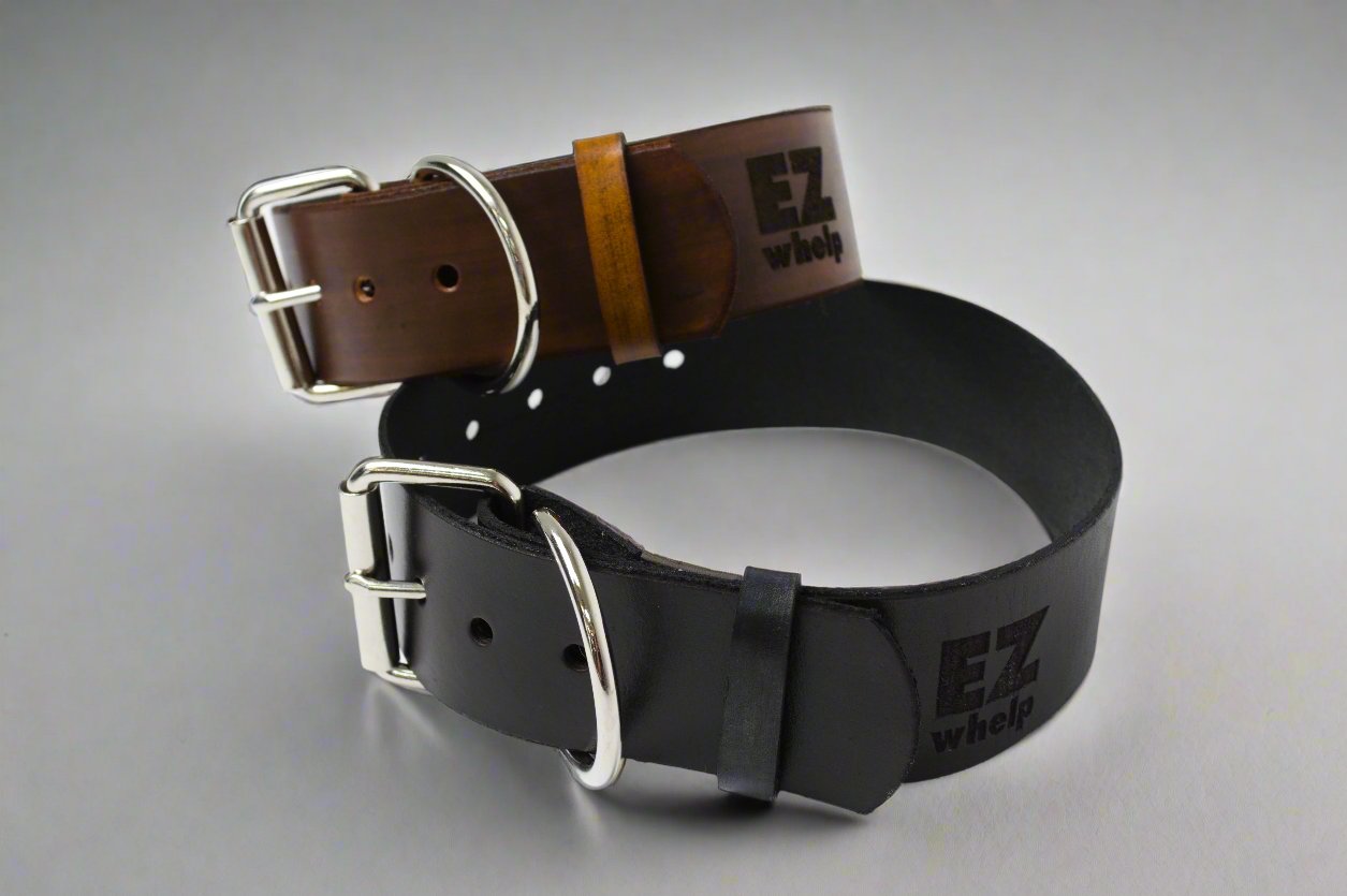 Two leather dog collars, one brown and one black, with metal buckles on a gray background.