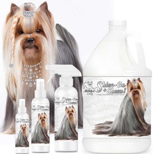 Dog grooming products with a Yorkshire Terrier on a white background