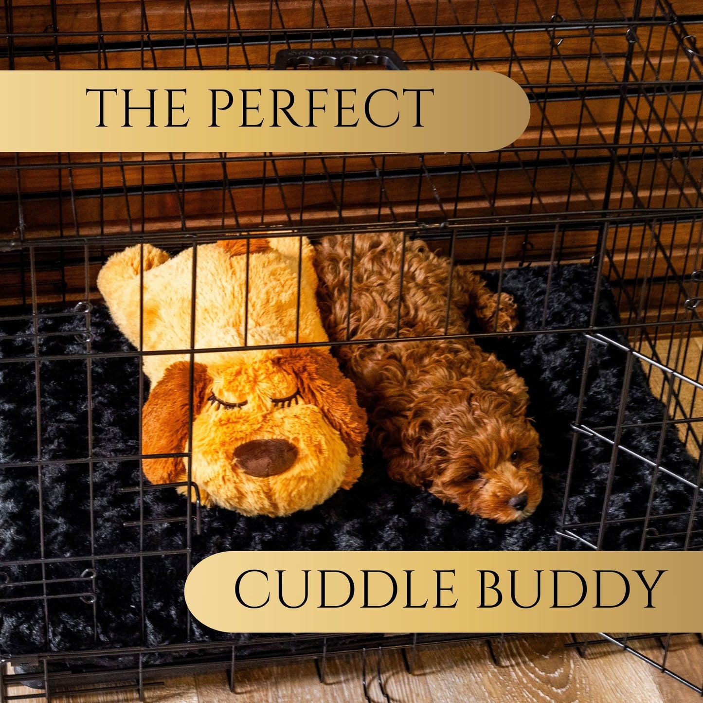 Zen Pup w/Anxiety Reducing Heartbeat
