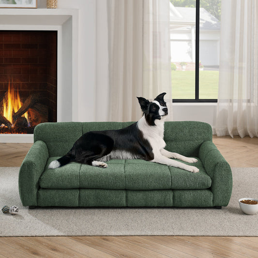 Dog lying on a green couch in a cozy living room with a fireplace and large window.
