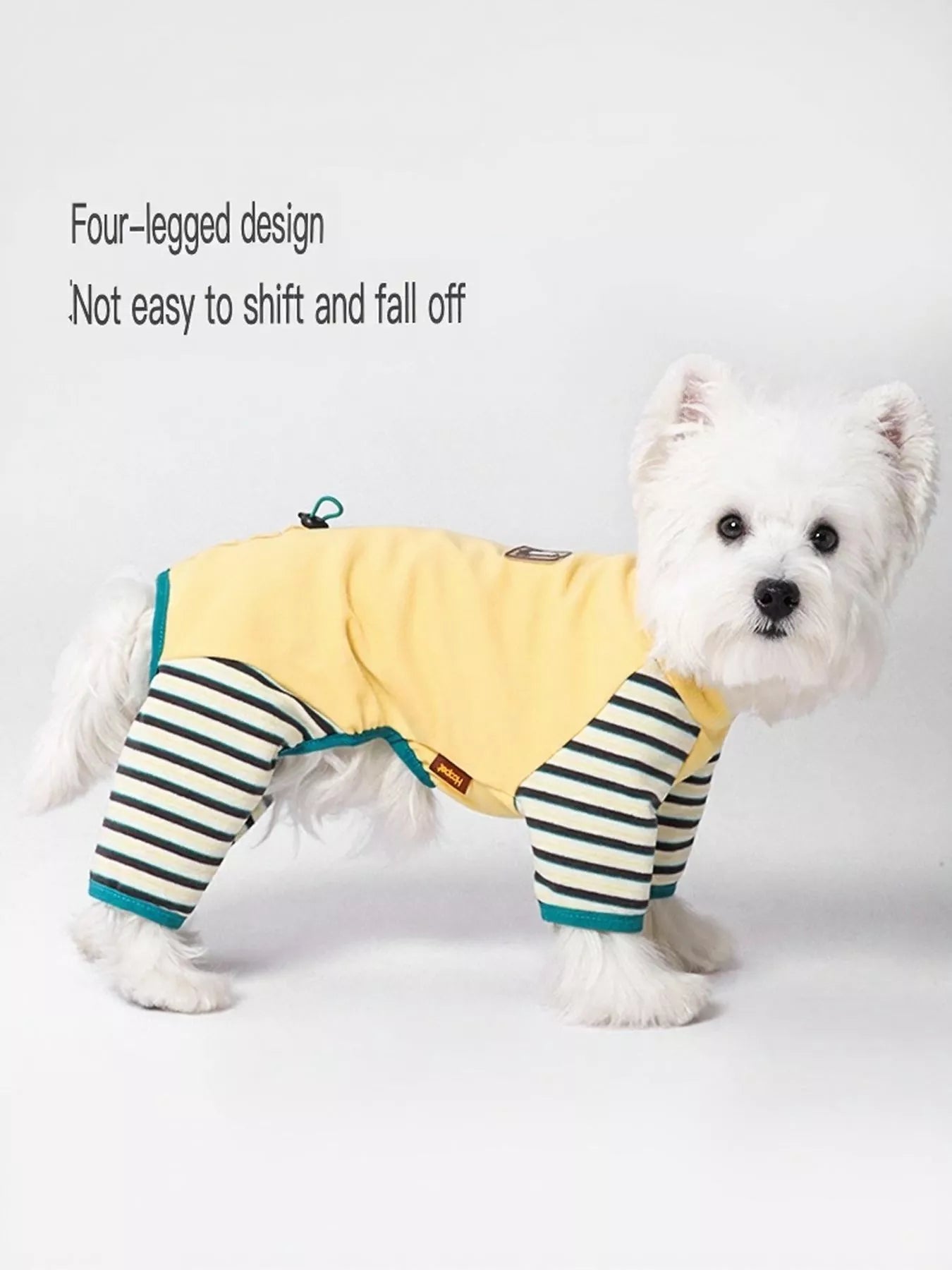 Dog wearing a yellow and striped outfit on a white background