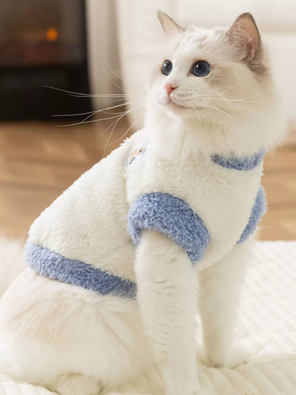 Cat wearing a white sweater with blue stripes sitting on a white surface.
