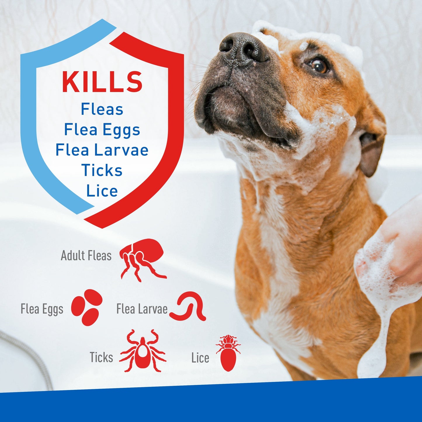 Dog with soap suds on a white background, featuring text about pest control products.