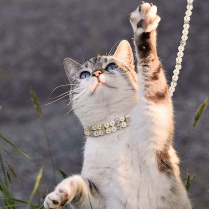 Cat with a pearl necklace reaching up in grass