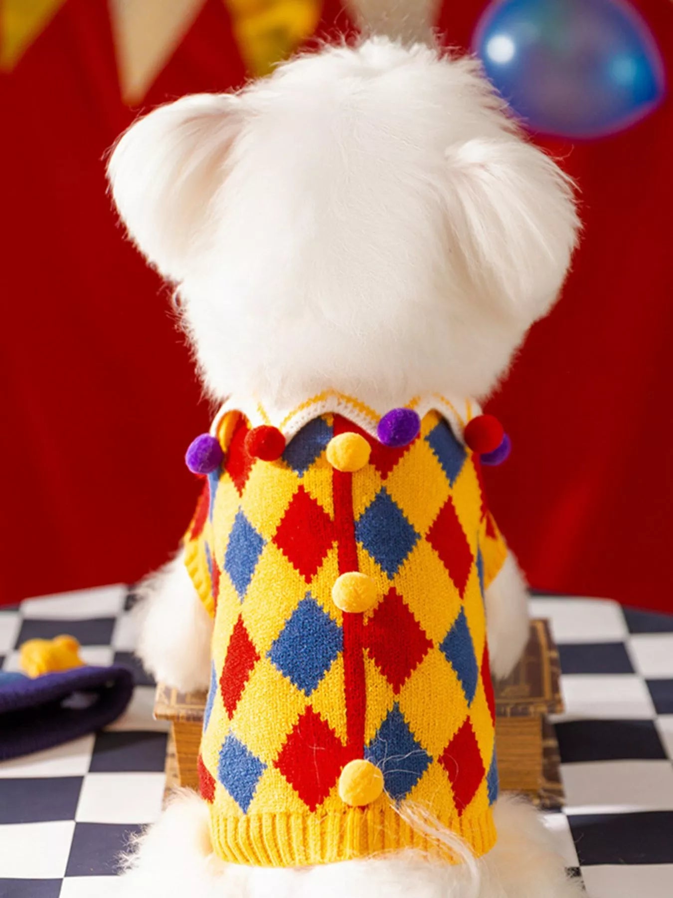 White dog wearing a colorful diamond-patterned sweater with pom-poms on a checkered floor.