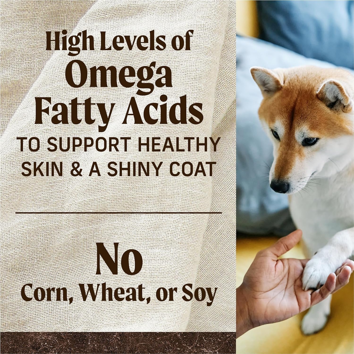 Dog with a paw being held, text about omega fatty acids on a textured background