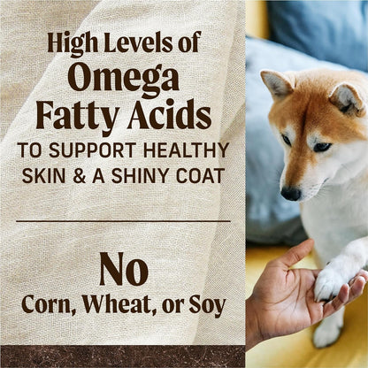 Dog with a paw being held, text about omega fatty acids on a textured background