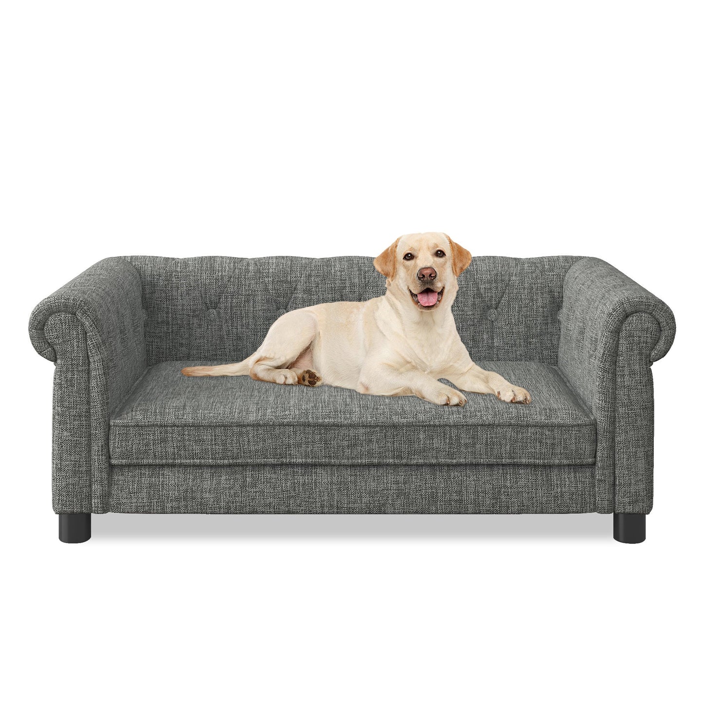 Dog lying on a gray pet sofa against a white background