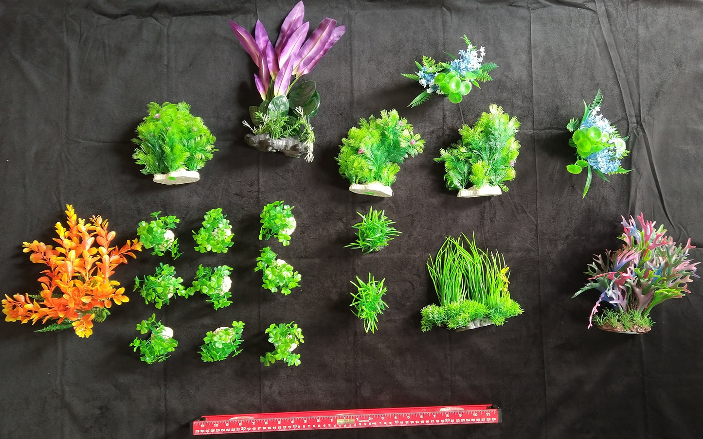 Assorted miniature plants on a black background with a ruler for scale.