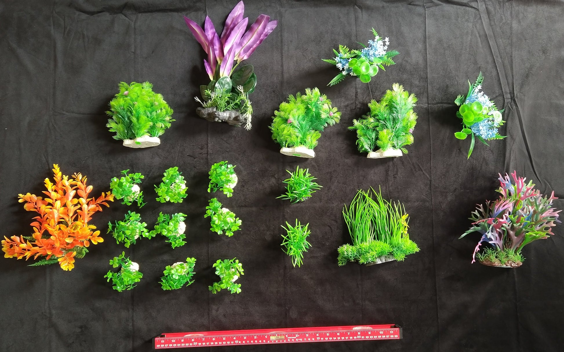 Assorted miniature plants on a black background with a ruler for scale.