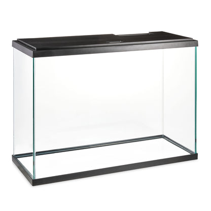 Clear glass aquarium with black frame and top on a white background
