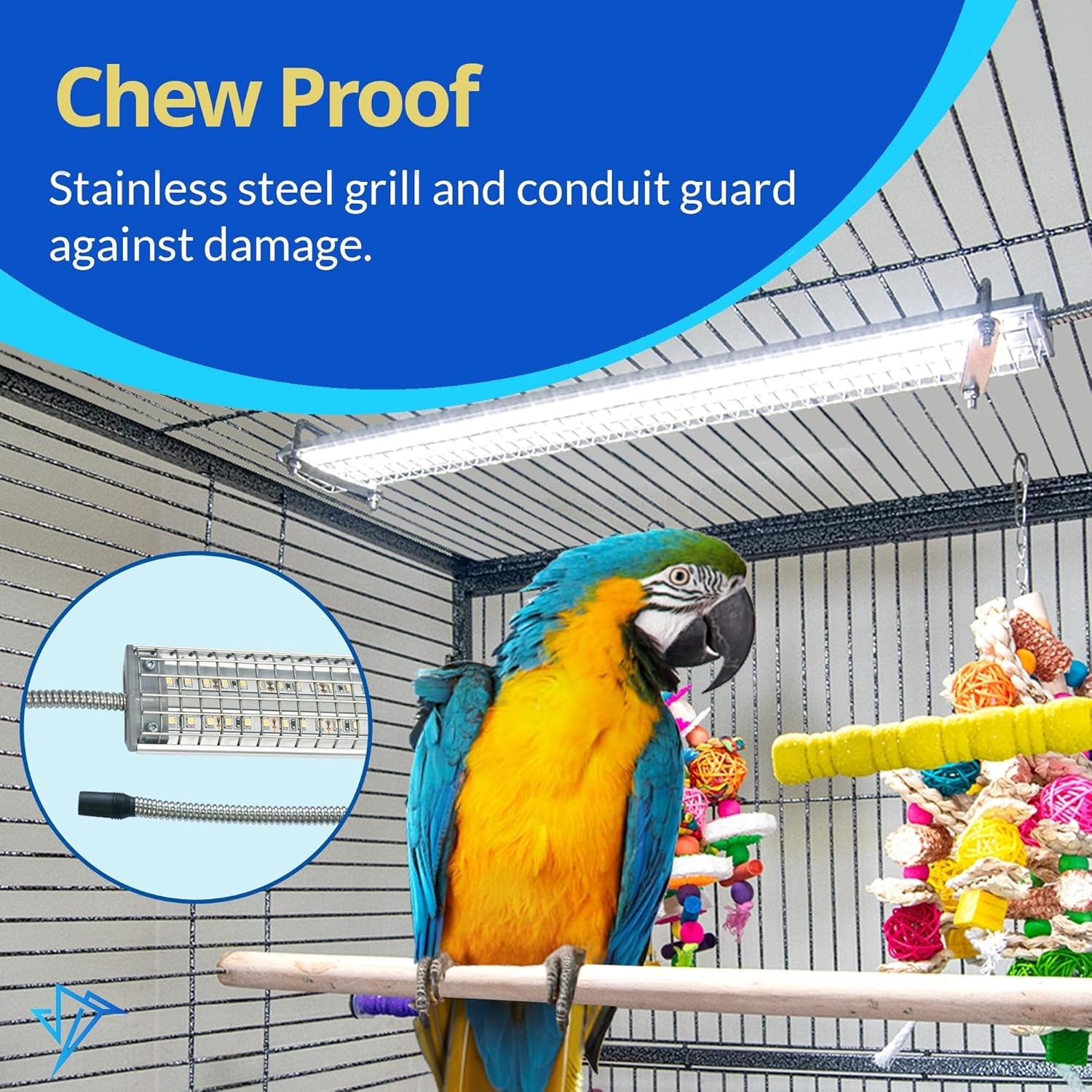 Parrot in a cage with chew proof stainless steel grill and conduit guard highlighted.