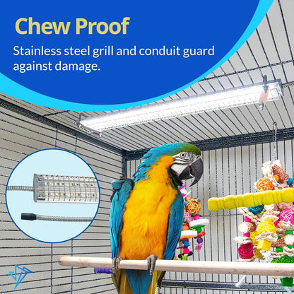 Parrot in a cage with chew proof stainless steel grill and conduit guard highlighted.