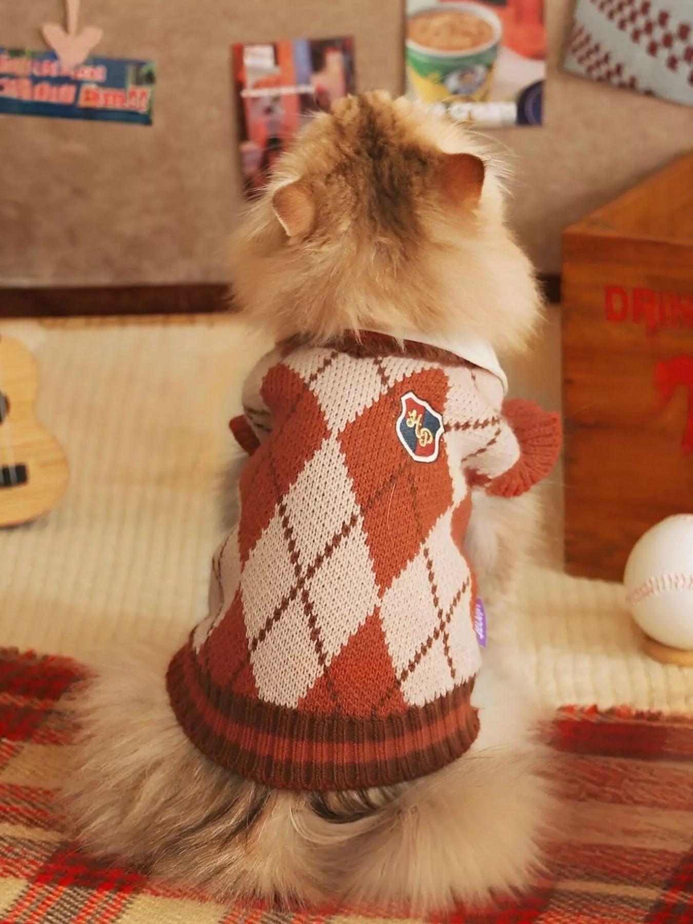 Small dog wearing a red and white argyle sweater sitting on a couch.