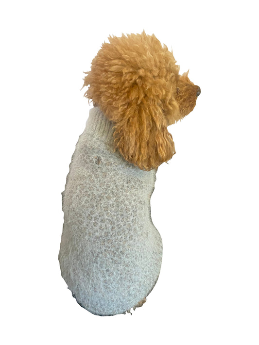 Small dog wearing a textured gray sweater on a white background
