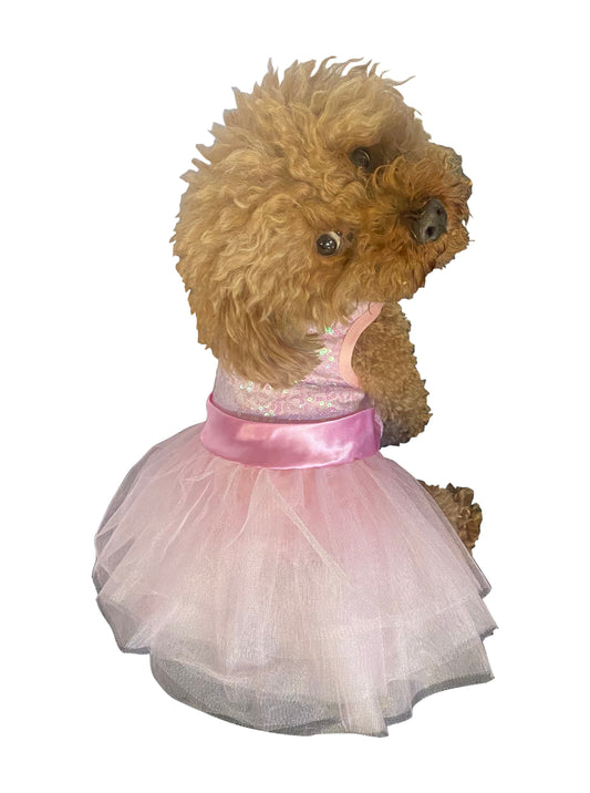 Small dog wearing a pink dress with a white background