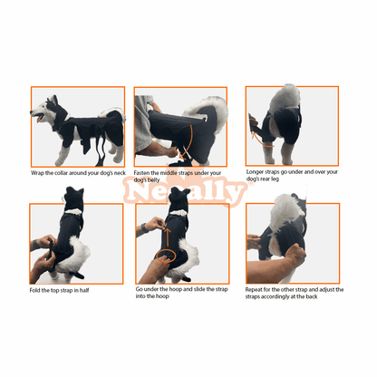 Instructions on how to put on a doggy life jacket with step-by-step images.