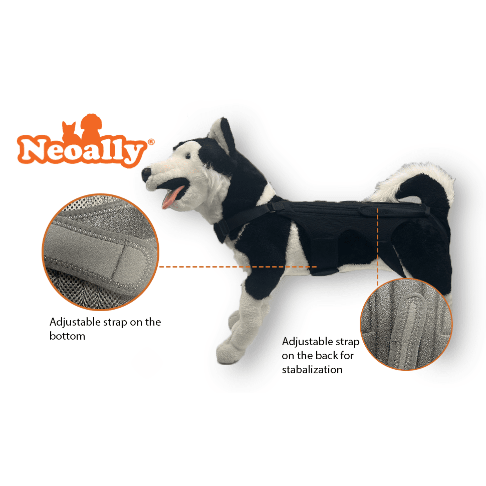 Dog wearing a black harness with adjustable straps, featuring Neoally branding.