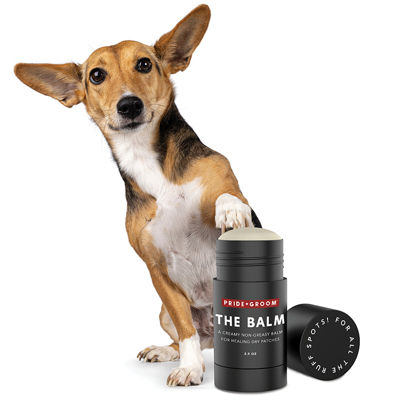 Dog holding a product labeled 'The Balm' with a white background