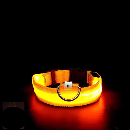 Yellow LED dog collar on a black background