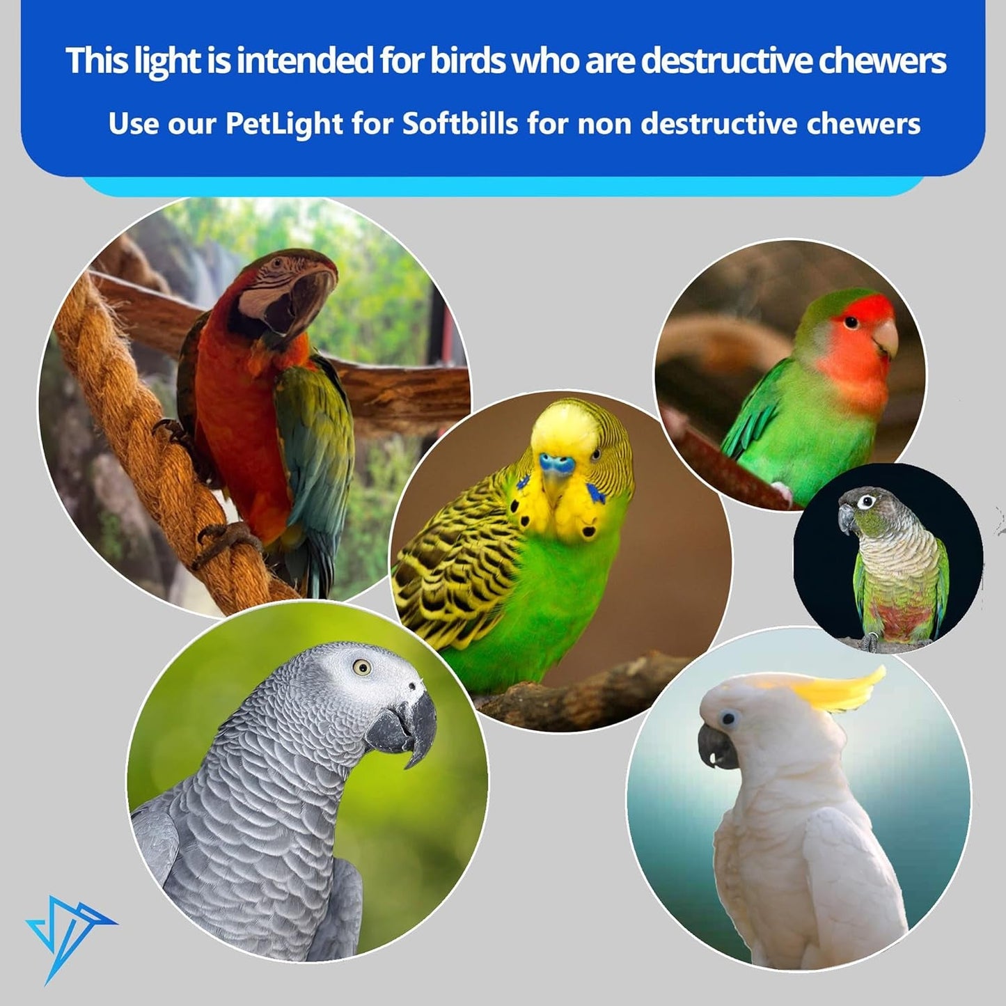 Promotional image for bird toys with various parrots and text about light suitability for birds.