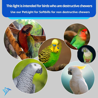 Promotional image for bird toys with various parrots and text about light suitability for birds.