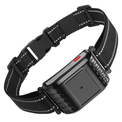 Black dog collar with a remote control device on a white background