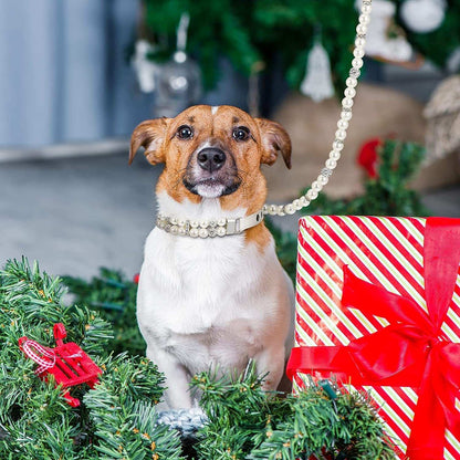 Dog wearing a pearl collar sitting next to a Christmas gift and wreath