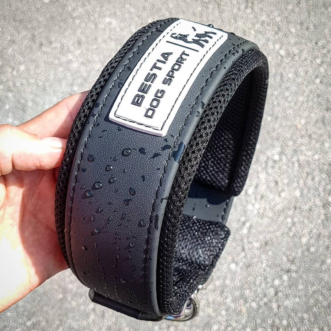Black dog collar with 'BESTIA DOG SPORT' label held by a hand on a concrete surface.