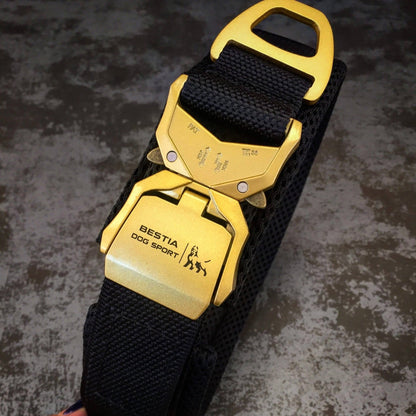 Black dog collar with gold buckle on a textured surface