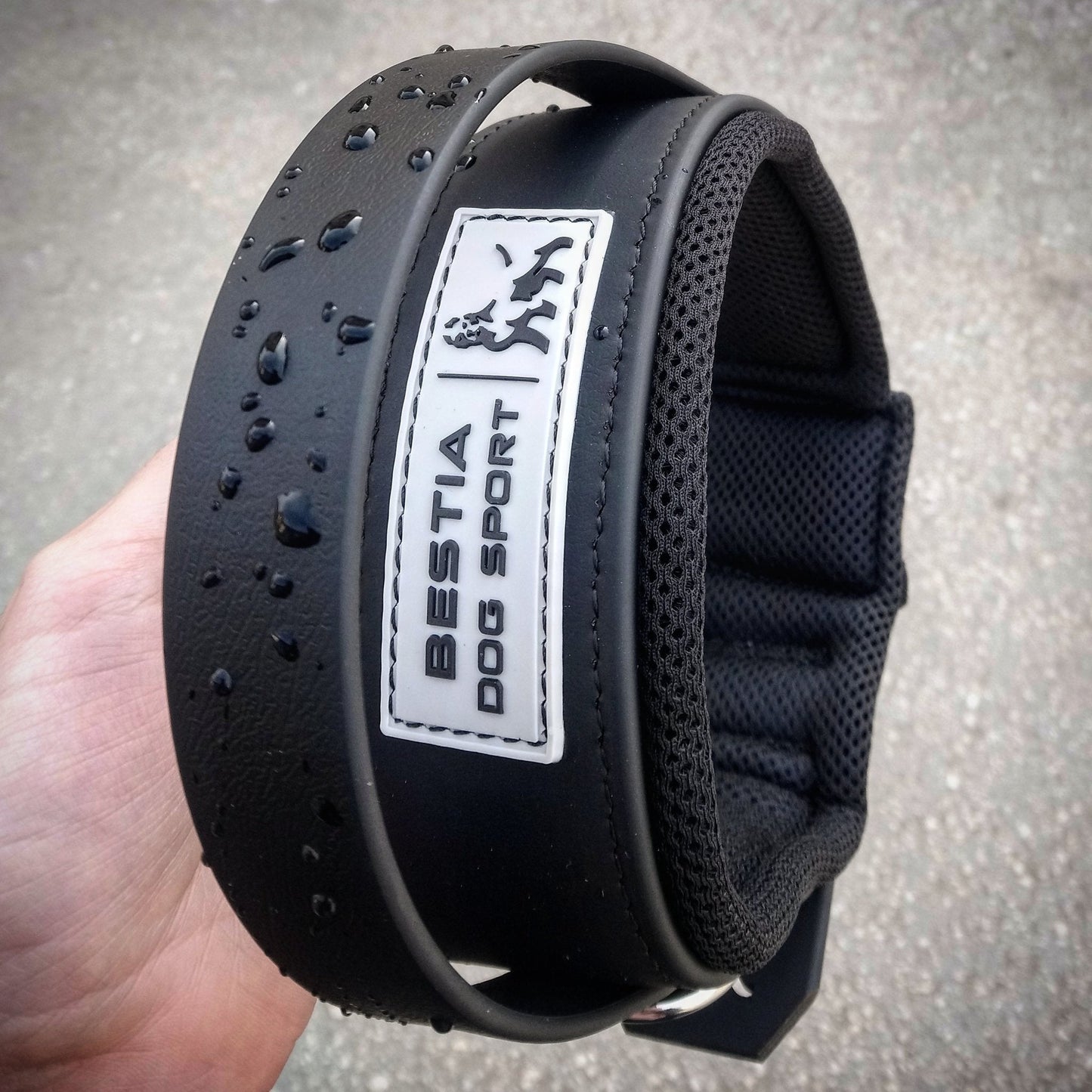 Black dog collar with 'Bestia Dog Sport' label held by a hand on a gray background