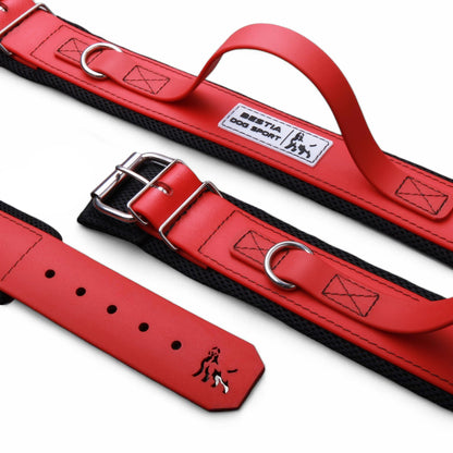 Red dog collar with metal buckle on a white background