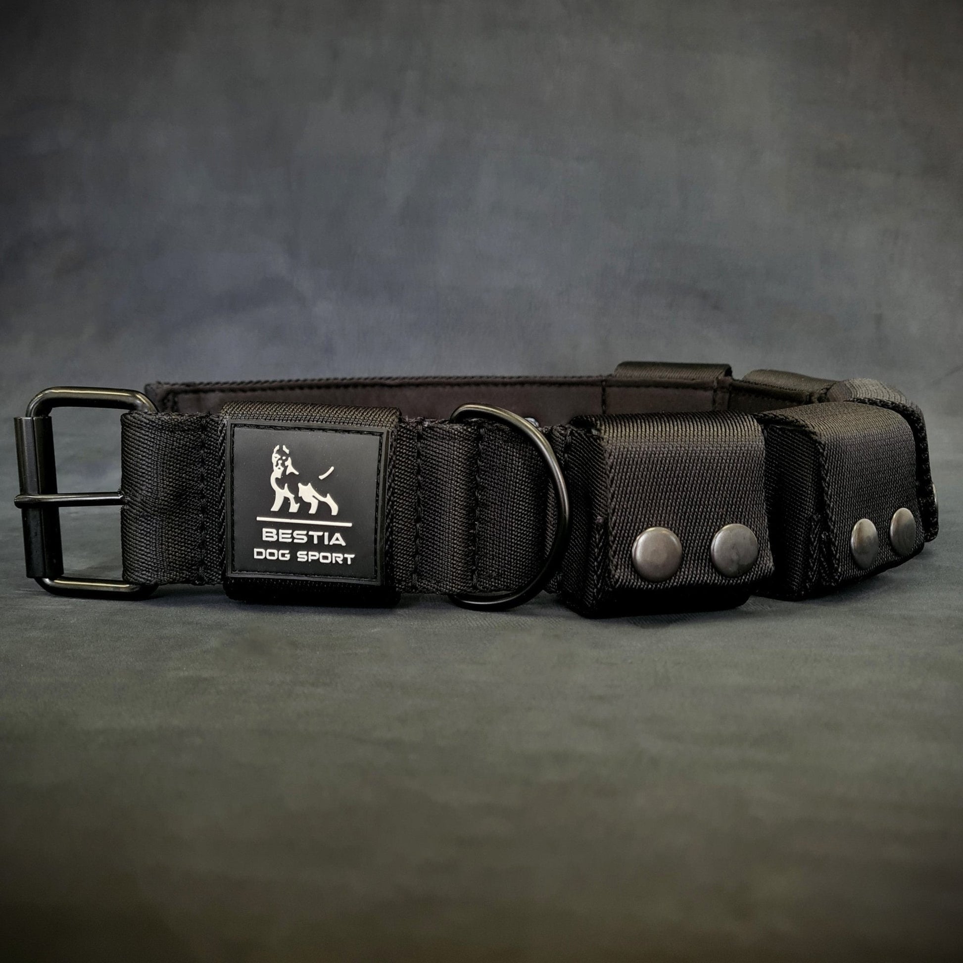 Dog collar with visible brand logo on a gray background
