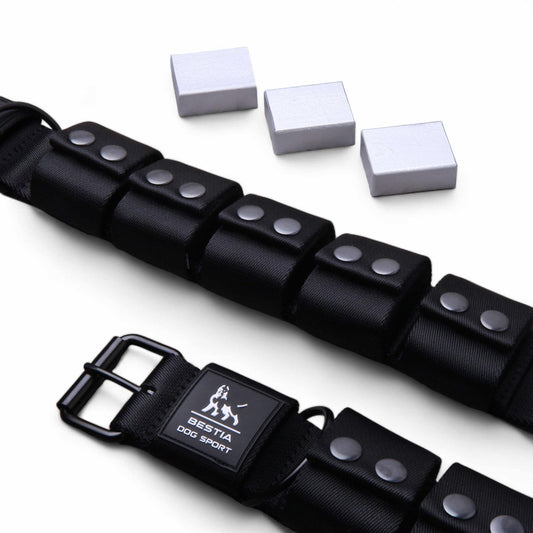 Black dog collar with metal studs and a visible brand logo on a white background