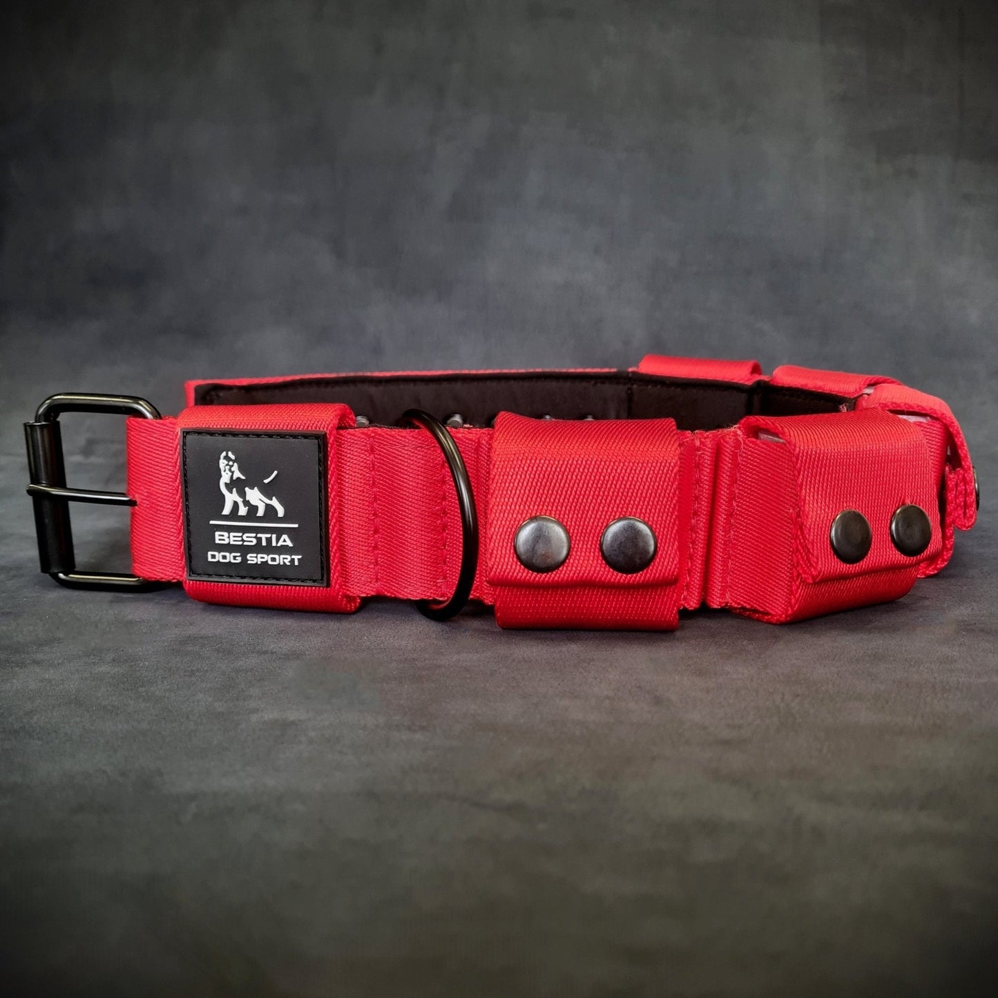 Red dog collar with metallic buckles on a dark gray background