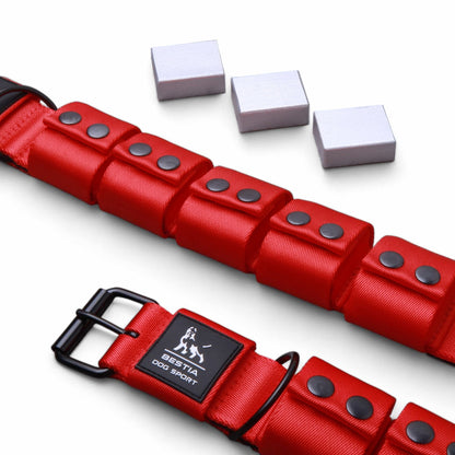 Red dog collar with black buckle and 'BESTIA DOG SPORT' label on a white background