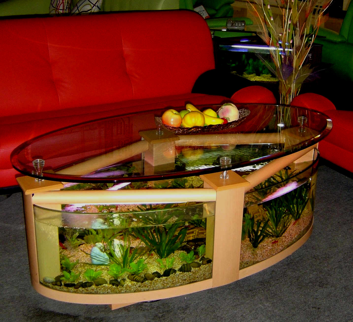 WARRANTY INCLUDED! 60 gallon GLASS oval round table aquarium fish tank 