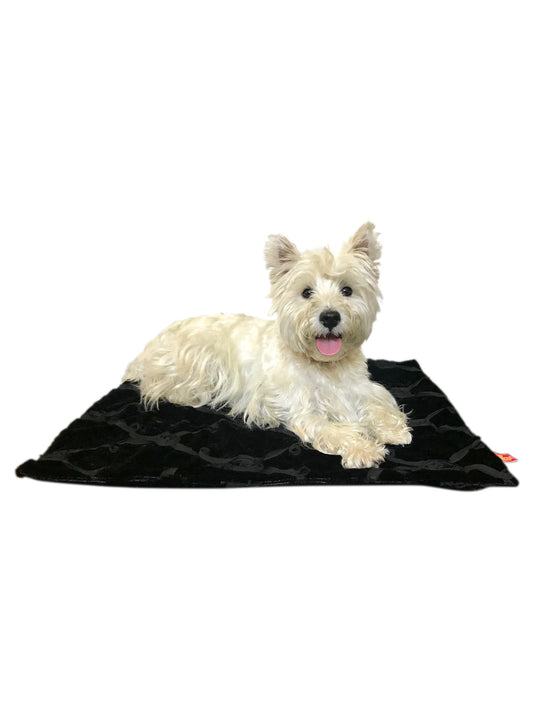 Small white dog lying on a black pet mat with a white background