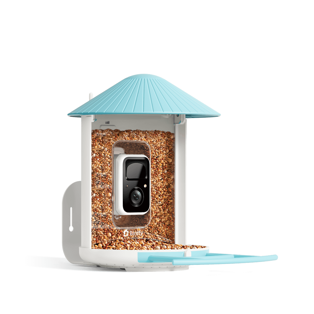 Bird feeder with a camera and blue roof on a black background