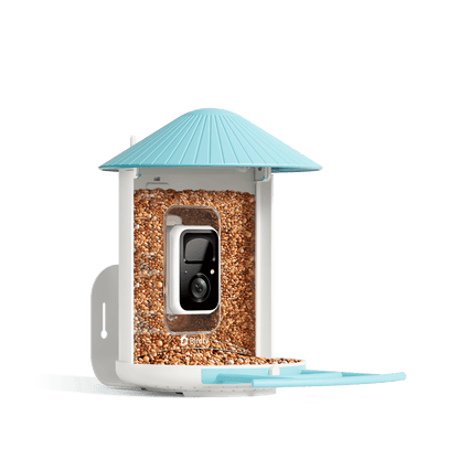 Bird feeder with a camera and blue roof on a black background