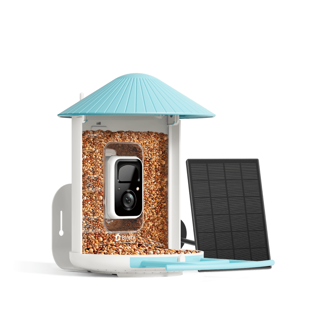 Birdfy Feeder with Solar Panel - Solar-Powered Smart Bird Feeder with Camera - Image 1