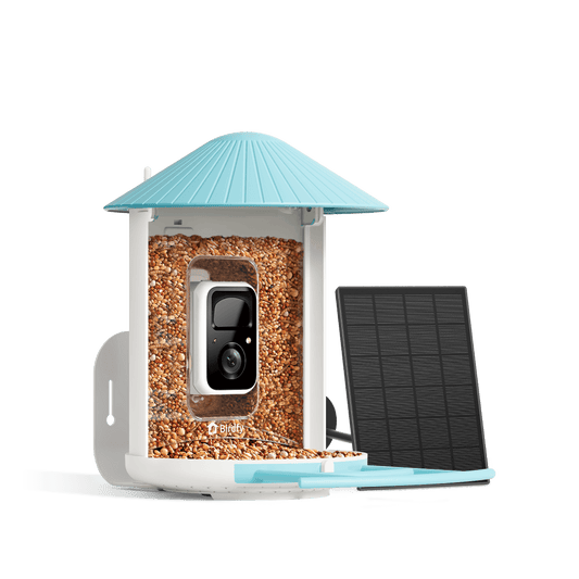 Birdfy Feeder with Solar Panel - Solar-Powered Smart Bird Feeder with Camera - Image 1