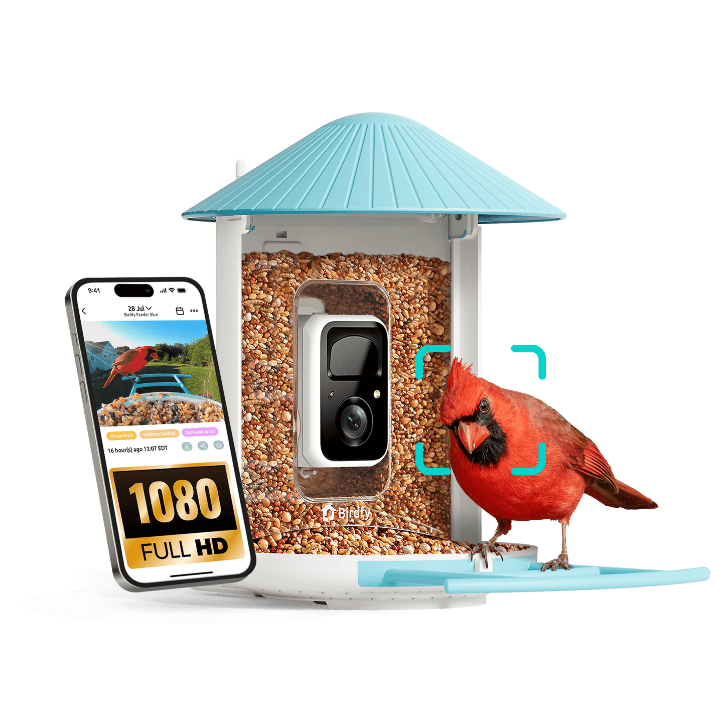Bird feeder with camera and smartphone displaying app interface, featuring a cardinal bird.