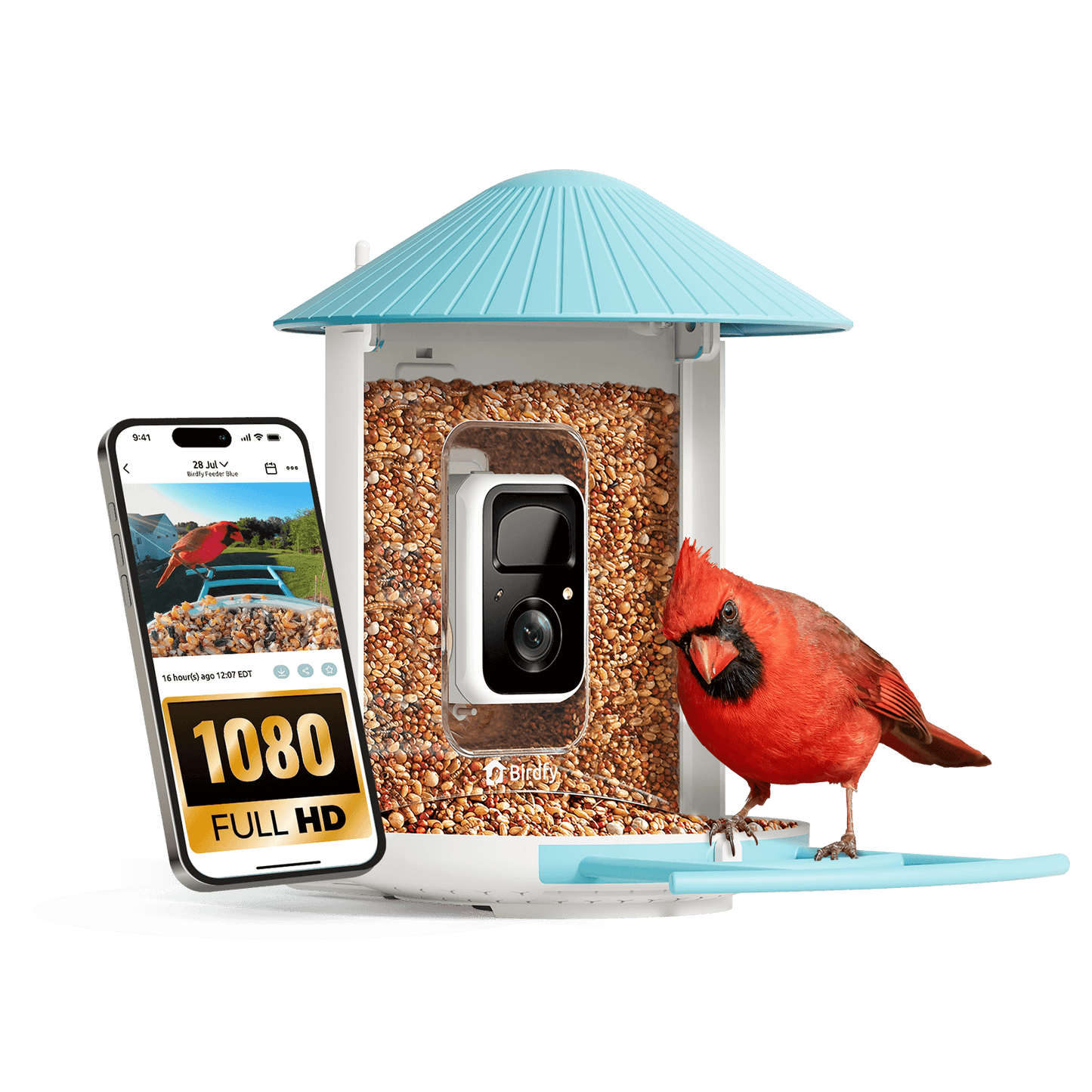 Bird feeder with camera, birdseed, and a smartphone showing the camera feed on a black background