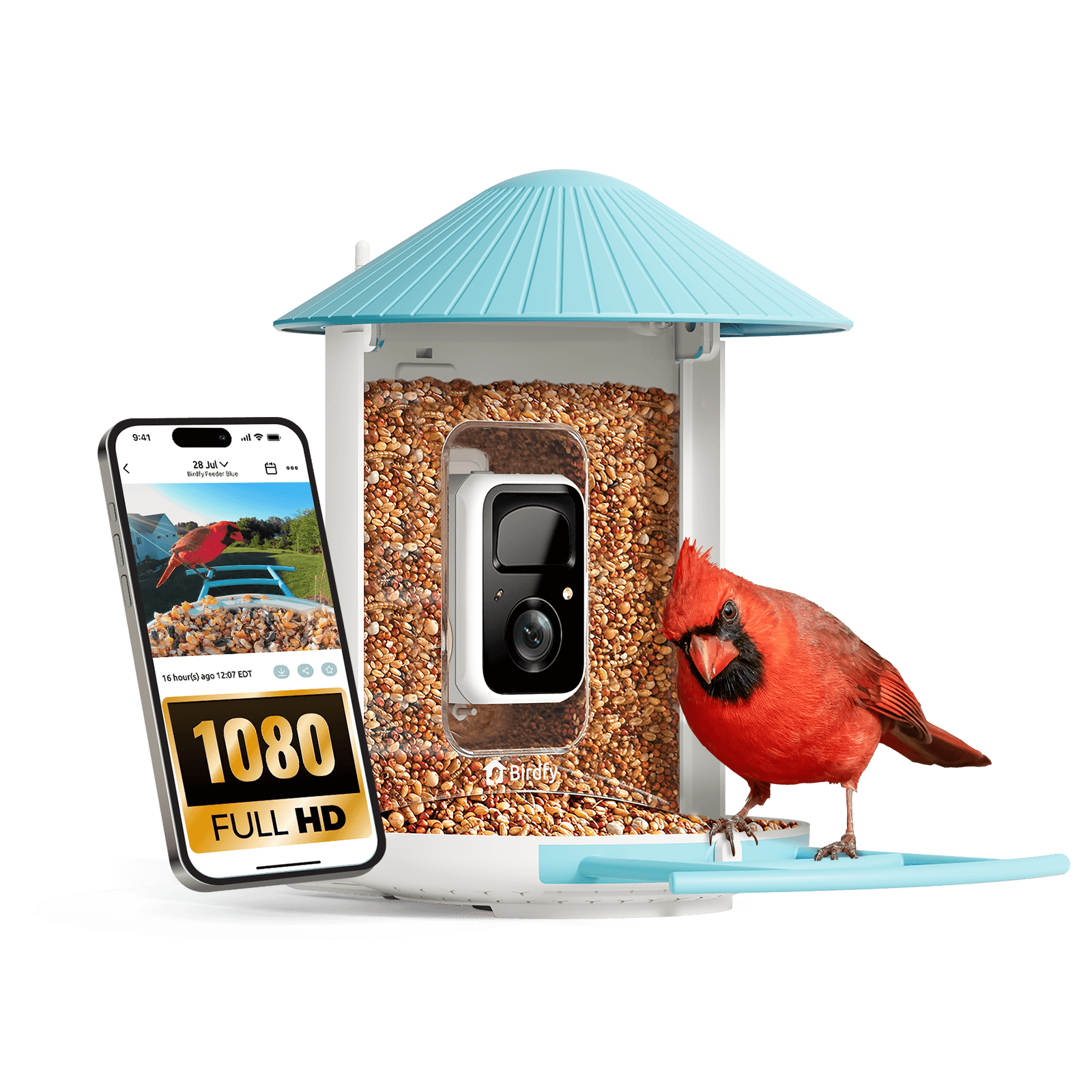 Bird feeder with camera, birdseed, and a smartphone showing the camera feed on a black background