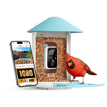 Bird feeder with camera, birdseed, and a smartphone showing the camera feed on a black background