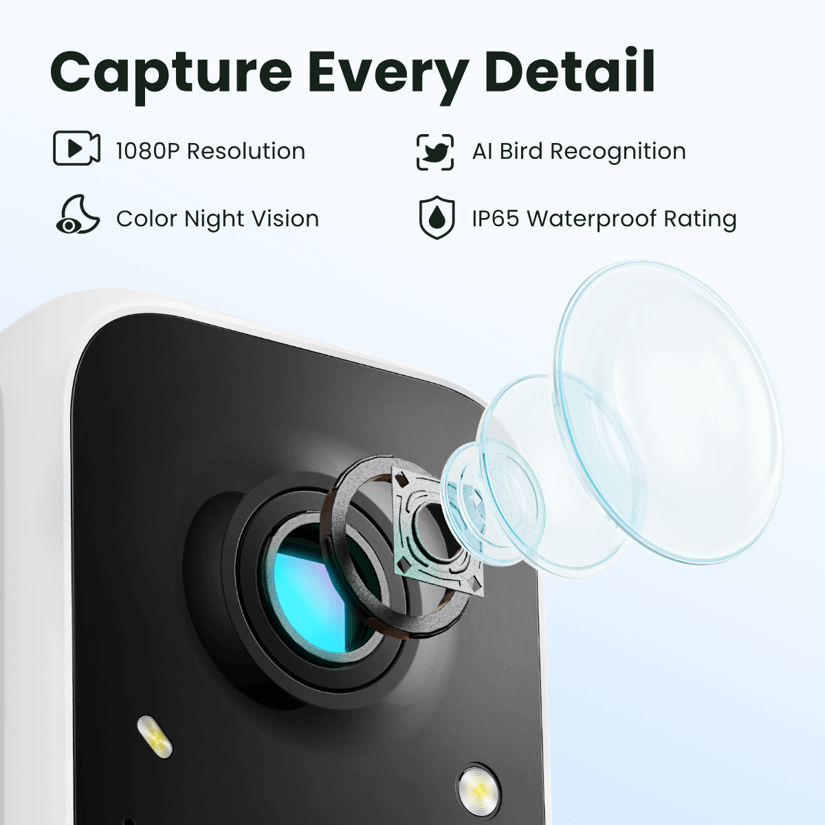 Birdfy Feeder with Solar Panel - Solar-Powered Smart Bird Feeder with Camera - Image 4