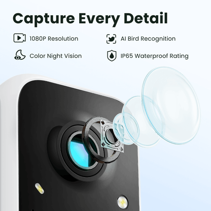 Birdfy Feeder with Solar Panel - Solar-Powered Smart Bird Feeder with Camera - Image 4