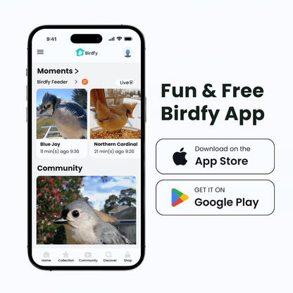 Birdfy Feeder with Solar Panel - Solar-Powered Smart Bird Feeder with Camera