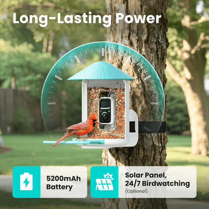 Bird feeder with solar panel and bird on a tree branch, labeled 'Long-Lasting Power'.